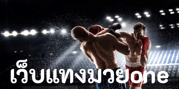 เว็บแทงมวยone