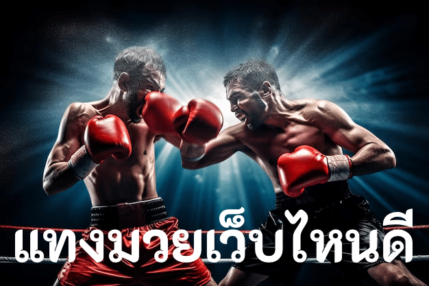 แทงมวยเว็บไหนดี